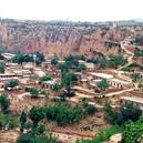 Plants: image 2 0f 4 thumb