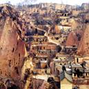 Plants: image 2 0f 4 thumb