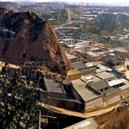 Plants: image 2 0f 4 thumb