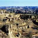 Plants: image 2 0f 4 thumb