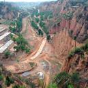 Plants: image 2 0f 4 thumb