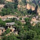 Plants: image 2 0f 4 thumb