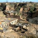 Plants: image 2 0f 4 thumb