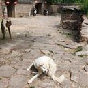 Plants: image 2 0f 4 thumb