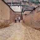 Plants: image 2 0f 4 thumb