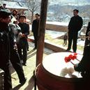 Plants: image 2 0f 4 thumb