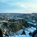 Plants: image 2 0f 4 thumb