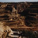 Plants: image 2 0f 4 thumb