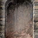 Plants: image 2 0f 4 thumb