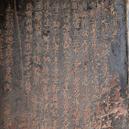 Plants: image 2 0f 4 thumb