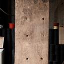 Plants: image 2 0f 4 thumb