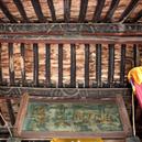 Plants: image 2 0f 4 thumb