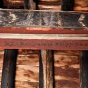 Plants: image 2 0f 4 thumb