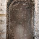 Plants: image 2 0f 4 thumb