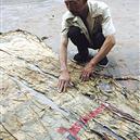 Plants: image 2 0f 4 thumb