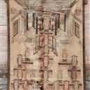 Plants: image 2 0f 4 thumb