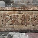 Plants: image 2 0f 4 thumb