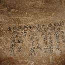 Plants: image 2 0f 4 thumb