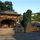 Plants: image 2 0f 4 thumb