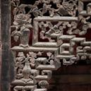 Plants: image 2 0f 4 thumb