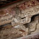 Plants: image 2 0f 4 thumb