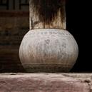 Plants: image 2 0f 4 thumb