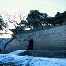 Plants: image 2 0f 4 thumb