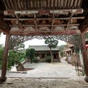 Plants: image 2 0f 4 thumb