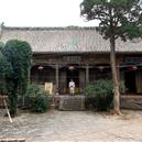 Plants: image 2 0f 4 thumb