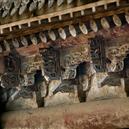 Plants: image 2 0f 4 thumb