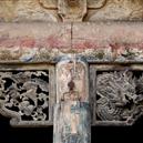 Plants: image 2 0f 4 thumb