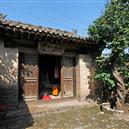 Plants: image 2 0f 4 thumb