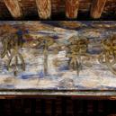 Plants: image 2 0f 4 thumb