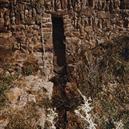 Plants: image 2 0f 4 thumb