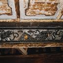 Plants: image 2 0f 4 thumb