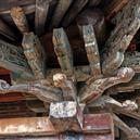 Plants: image 2 0f 4 thumb