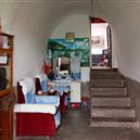 Plants: image 2 0f 4 thumb