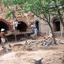 Plants: image 2 0f 4 thumb