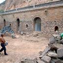 Plants: image 2 0f 4 thumb