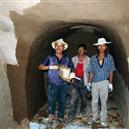 Plants: image 2 0f 4 thumb