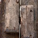 Plants: image 2 0f 4 thumb