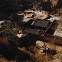 Plants: image 2 0f 4 thumb