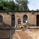 Plants: image 2 0f 4 thumb