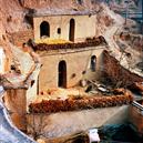 Plants: image 2 0f 4 thumb