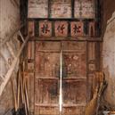 Plants: image 2 0f 4 thumb