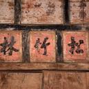 Plants: image 2 0f 4 thumb