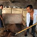 Plants: image 2 0f 4 thumb