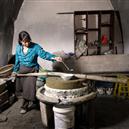 Plants: image 2 0f 4 thumb