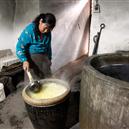 Plants: image 2 0f 4 thumb