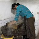 Plants: image 2 0f 4 thumb